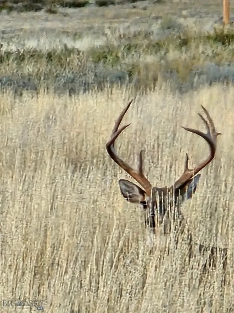 Tbd 147a Hardin MT 59024