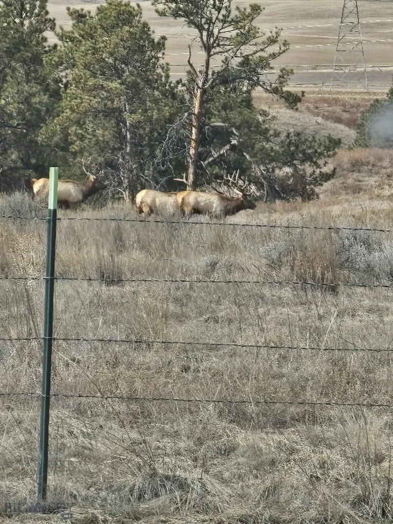 Tbd 147a Hardin MT 59024