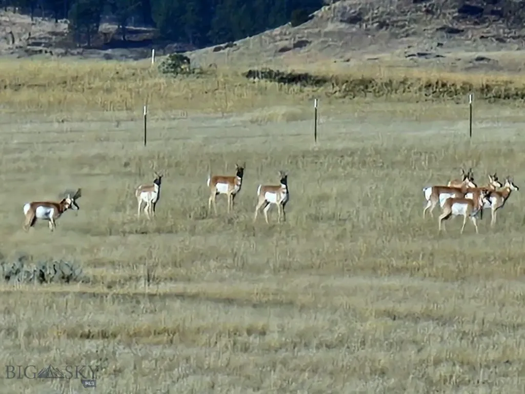 Tbd 147a Hardin MT 59024