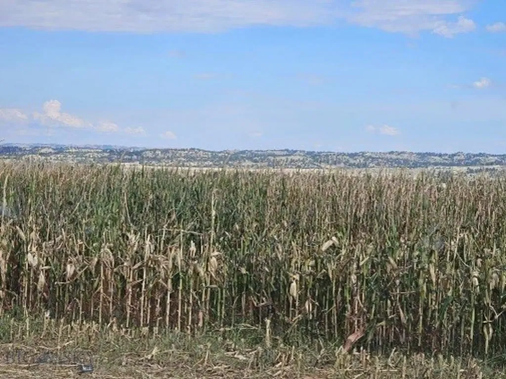 Tbd 147a Hardin MT 59024