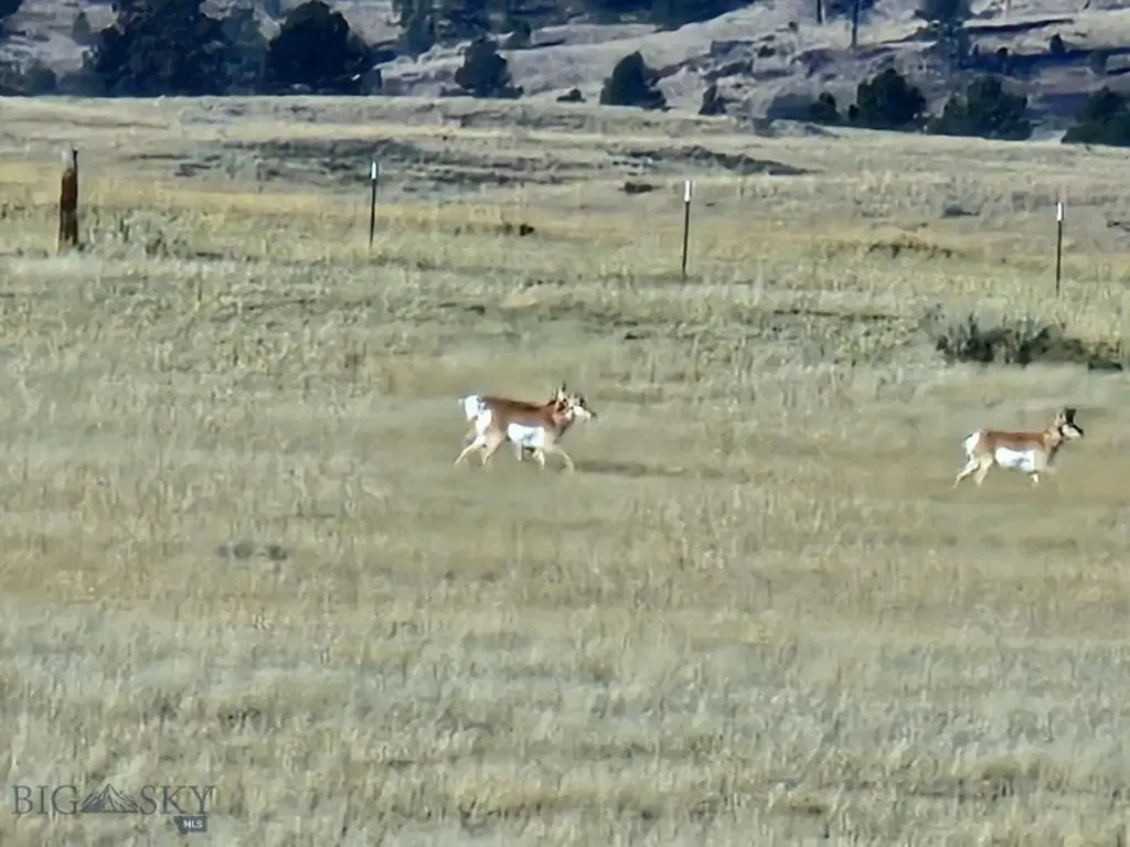Tbd 147a Hardin MT 59024