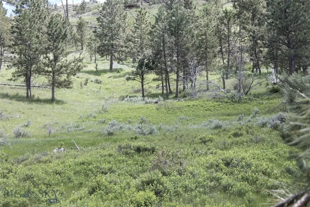 Tbd 147a Hardin MT 59024