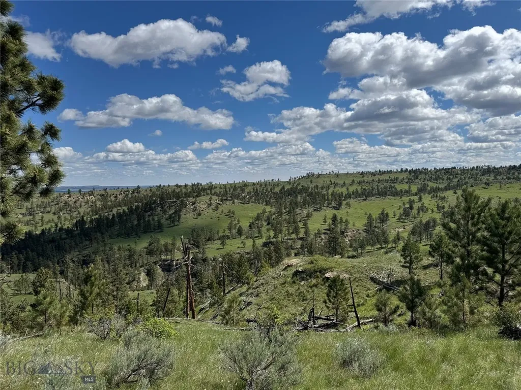 Tbd 147a Hardin MT 59024