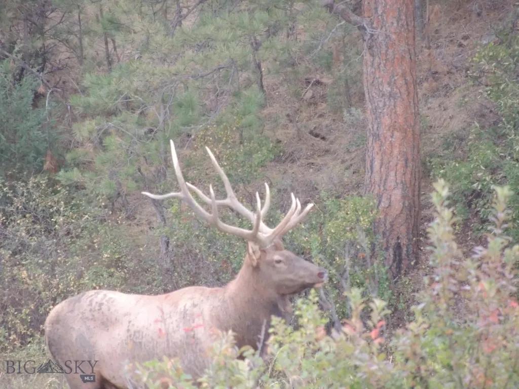Tbd 147a Hardin MT 59024