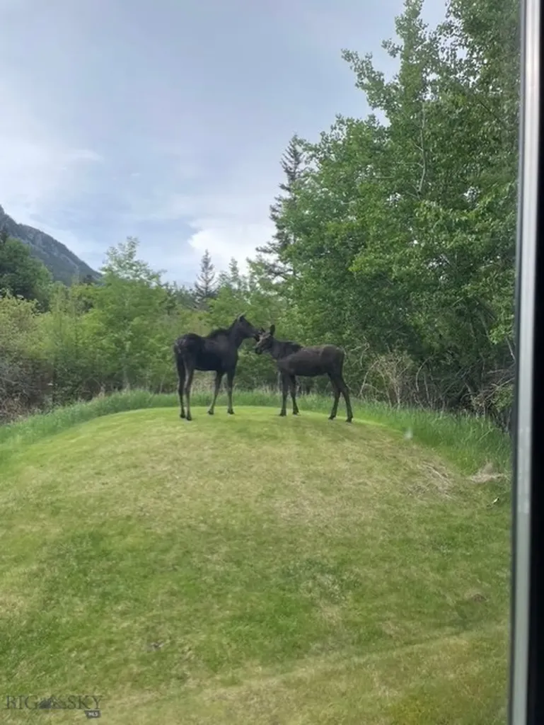 23 And 24 Moose Haven Loop Mcleod MT 59052