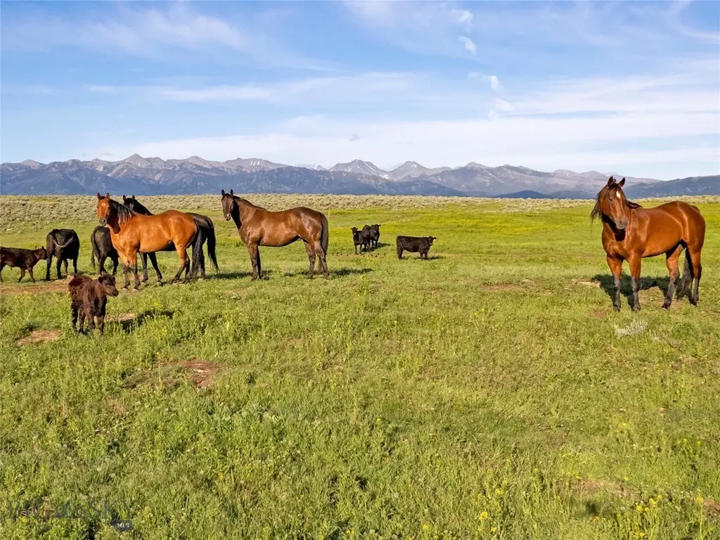 Tbd Elk Creek Road Wilsall MT 59086