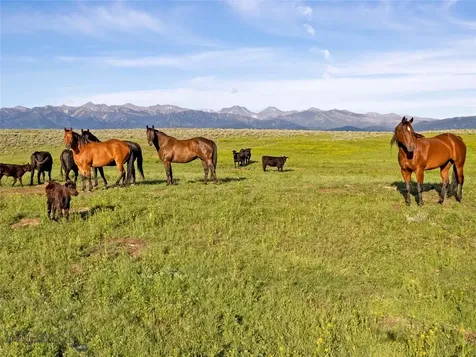 Tbd Elk Creek Road Wilsall MT 59086