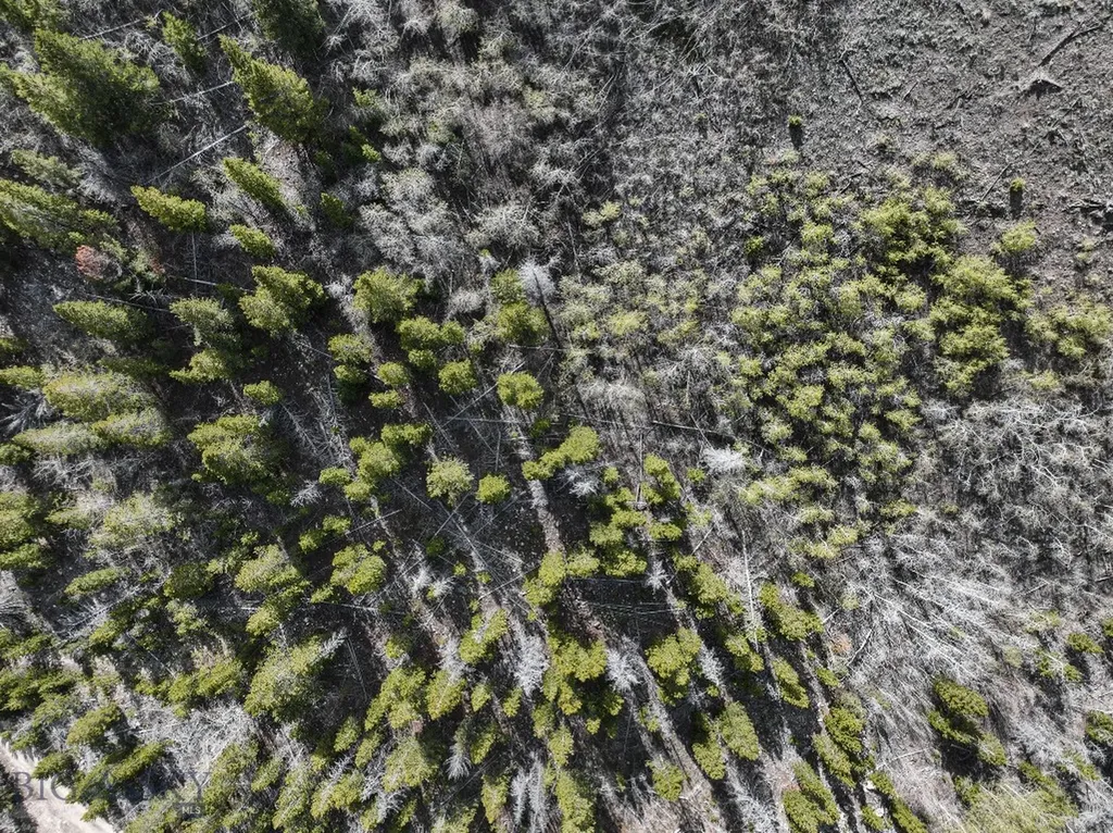 Tbd Silver Creek Trail Anaconda MT 59711