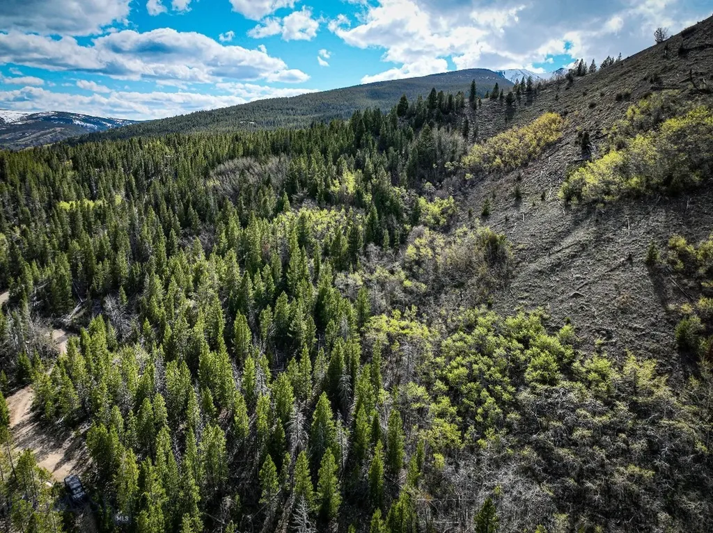 Tbd Silver Creek Trail Anaconda MT 59711