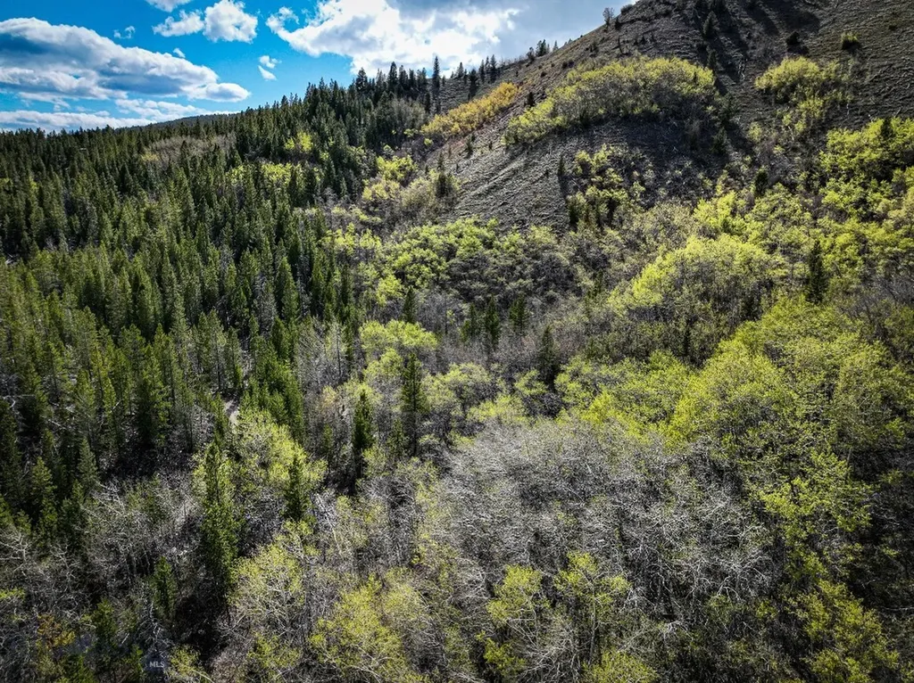 Tbd Silver Creek Trail Anaconda MT 59711