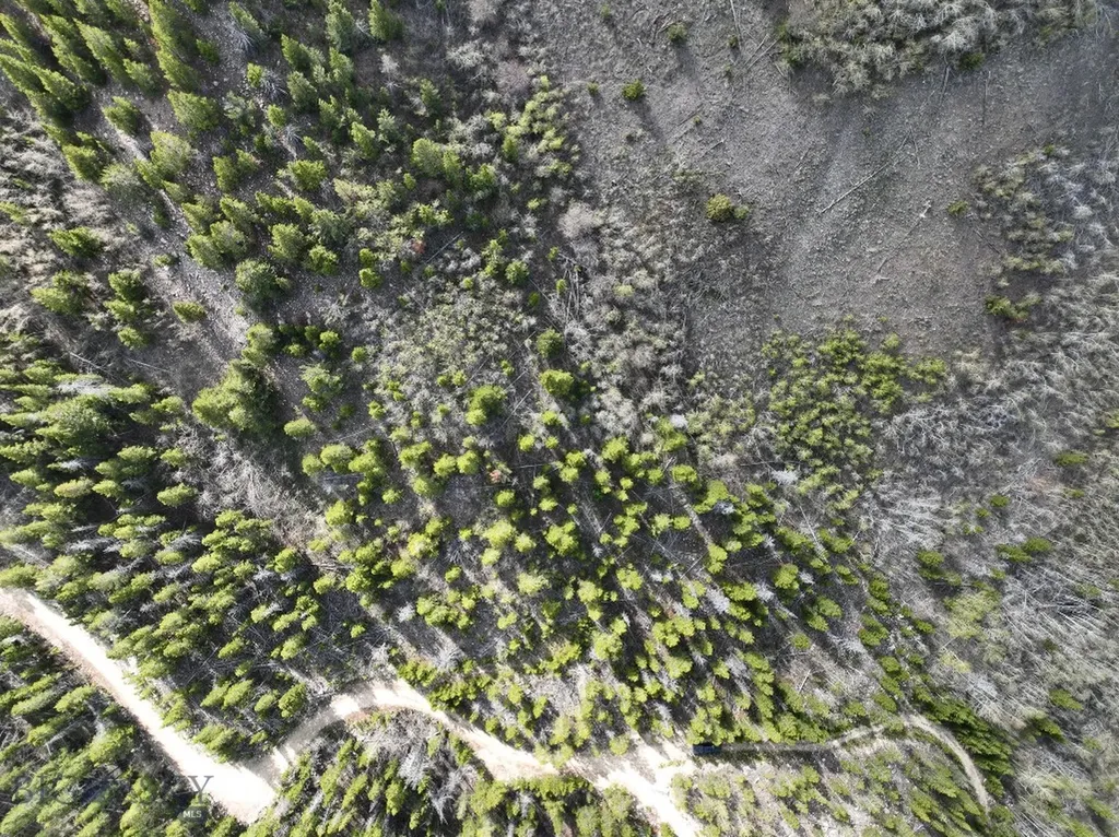 Tbd Silver Creek Trail Anaconda MT 59711