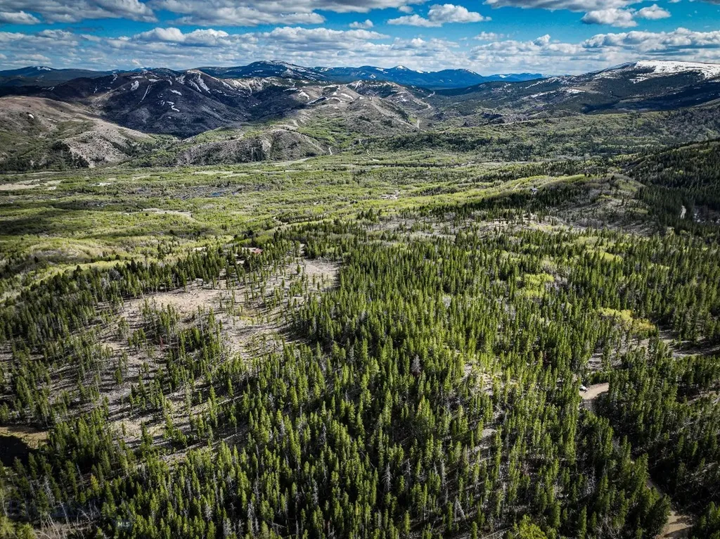 Tbd Silver Creek Trail Anaconda MT 59711