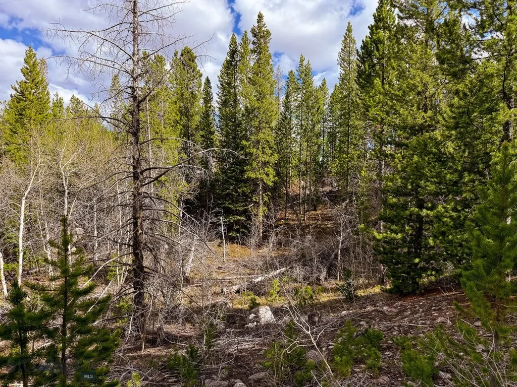 Tbd Silver Creek Trail Anaconda MT 59711