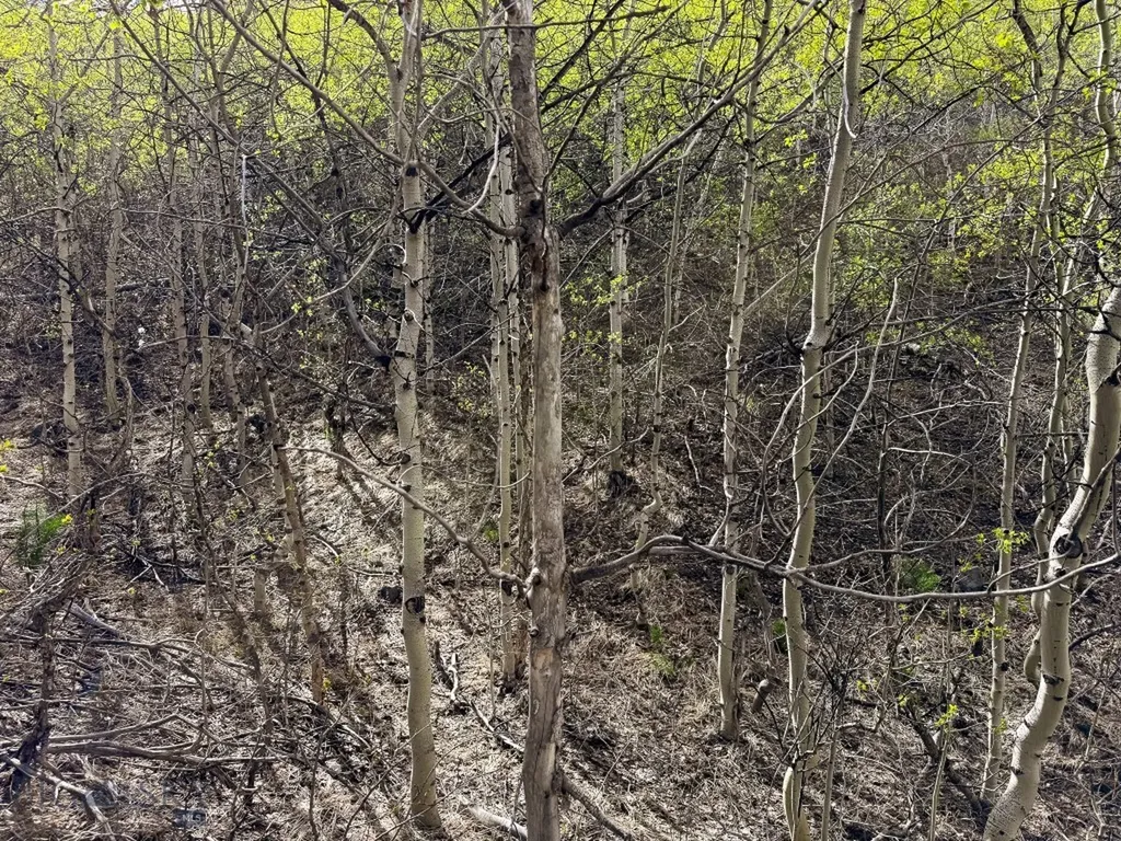 Tbd Silver Creek Trail Anaconda MT 59711