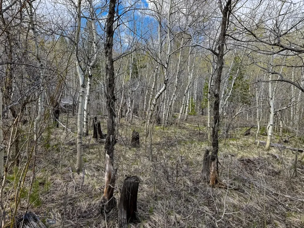 Tbd Silver Creek Trail Anaconda MT 59711
