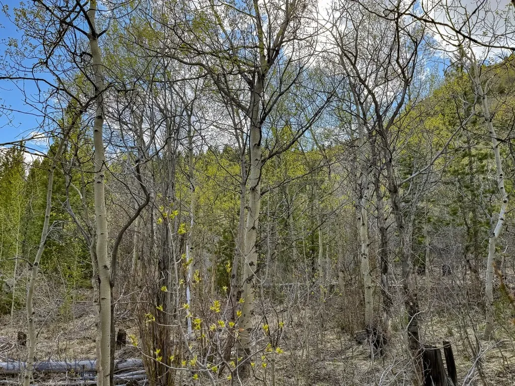 Tbd Silver Creek Trail Anaconda MT 59711