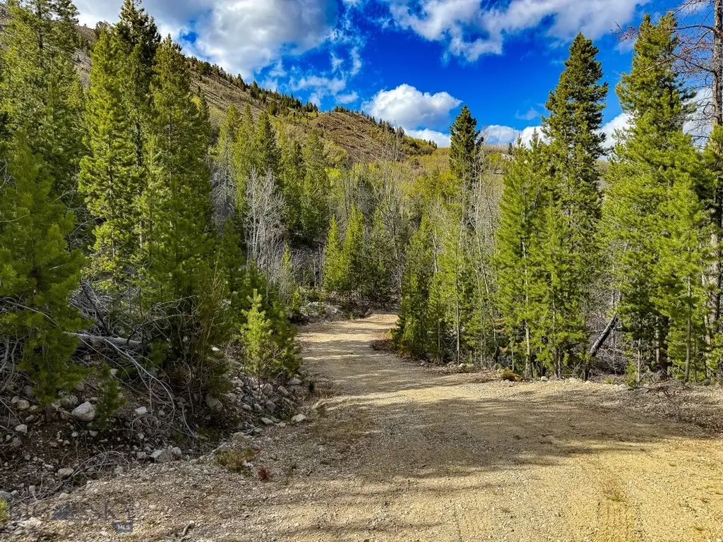 Tbd Silver Creek Trail Anaconda MT 59711