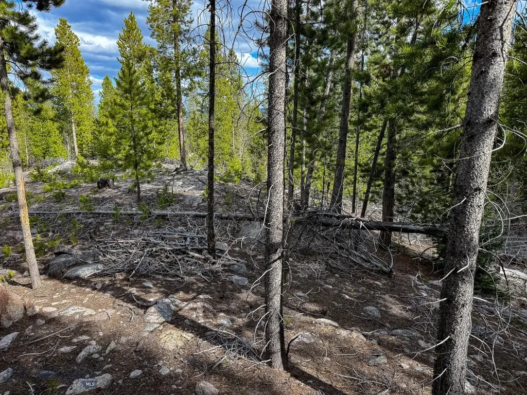 Tbd Silver Creek Trail Anaconda MT 59711