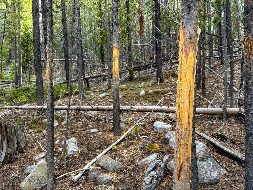 Tbd Silver Creek Trail Anaconda MT 59711