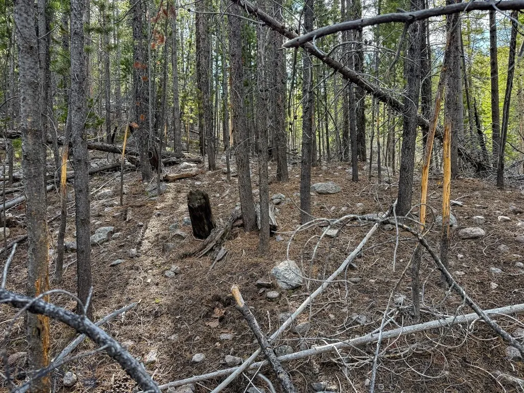 Tbd Silver Creek Trail Anaconda MT 59711