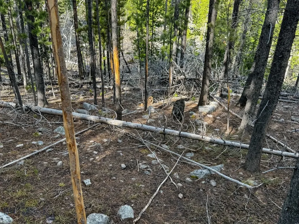 Tbd Silver Creek Trail Anaconda MT 59711