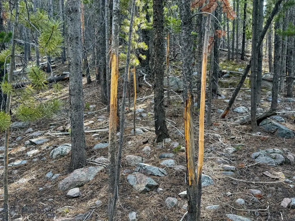 Tbd Silver Creek Trail Anaconda MT 59711