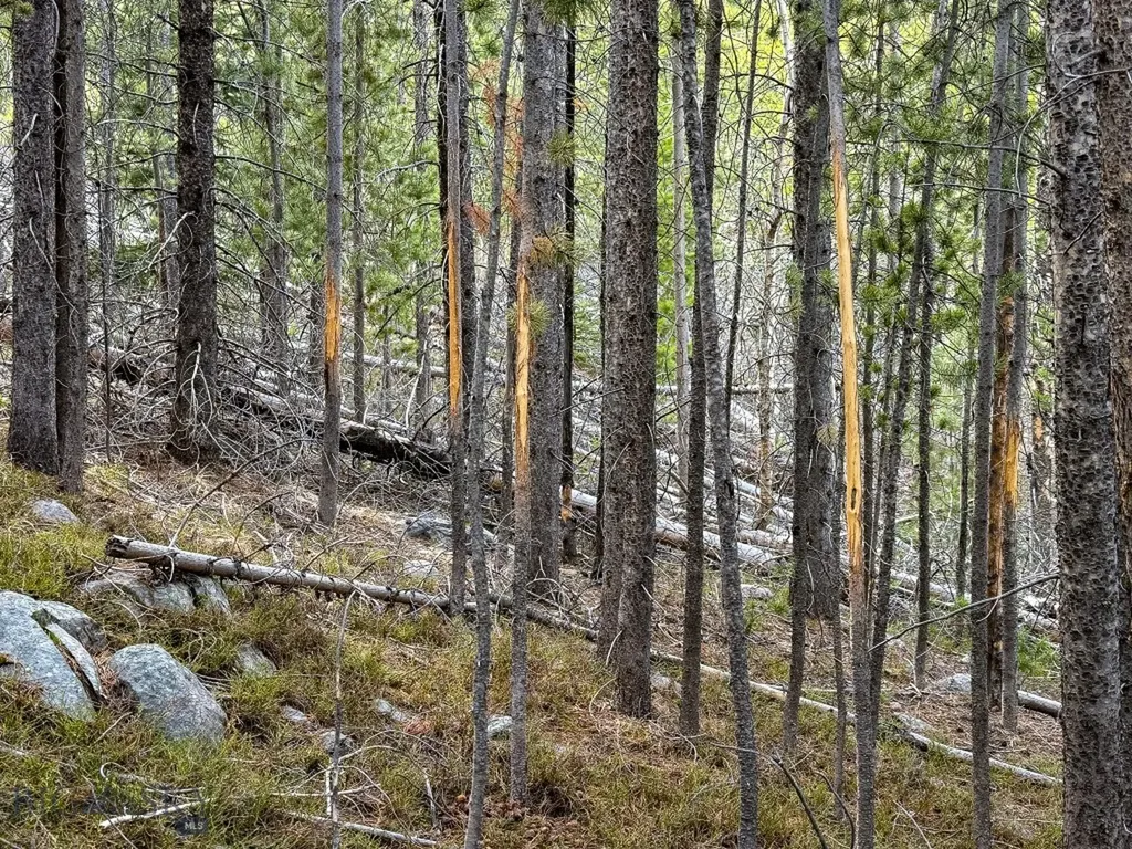 Tbd Silver Creek Trail Anaconda MT 59711
