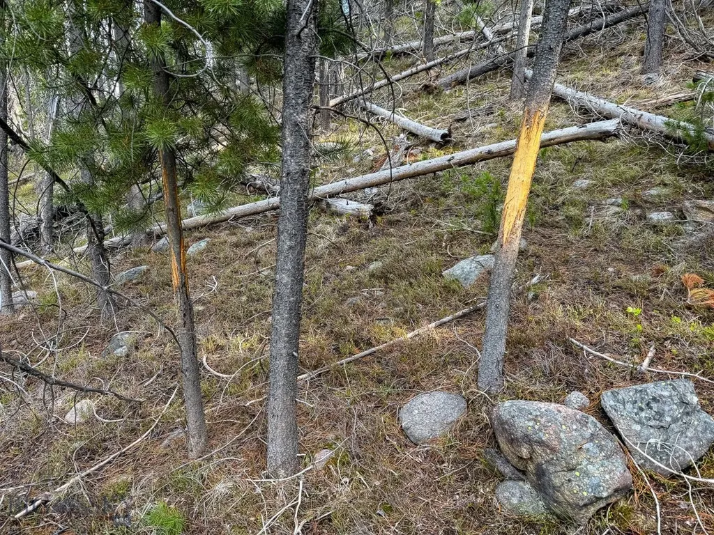 Tbd Silver Creek Trail Anaconda MT 59711
