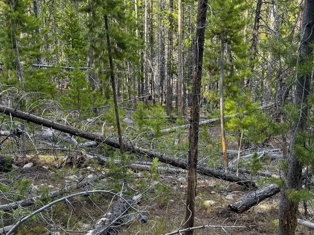 Tbd Silver Creek Trail Anaconda MT 59711