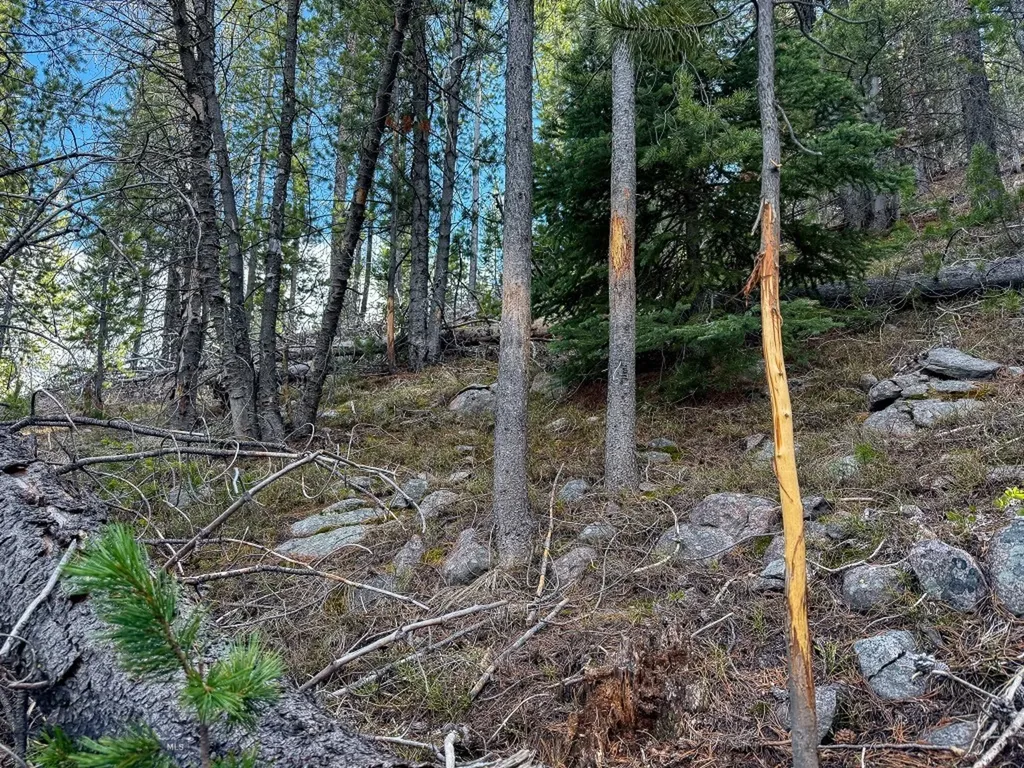 Tbd Silver Creek Trail Anaconda MT 59711