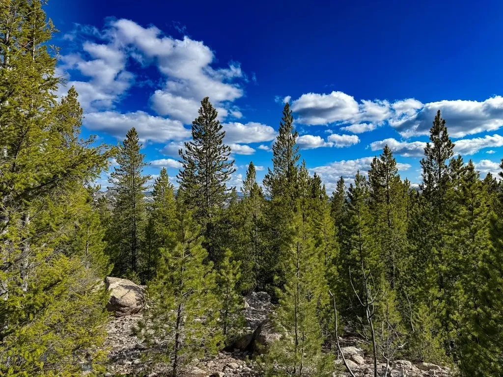 Tbd Silver Creek Trail Anaconda MT 59711