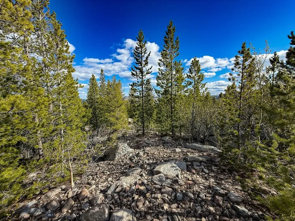 Tbd Silver Creek Trail Anaconda MT 59711