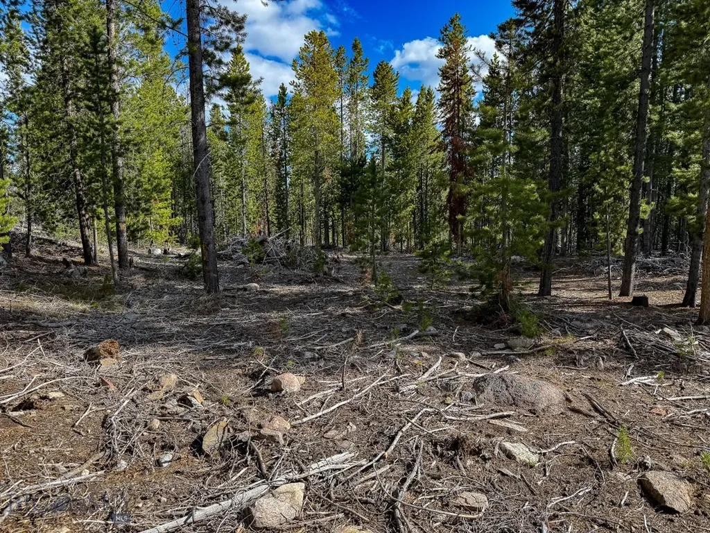 Tbd Silver Creek Trail Anaconda MT 59711