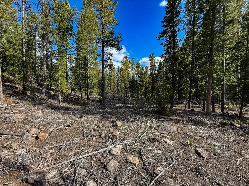 Tbd Silver Creek Trail Anaconda MT 59711