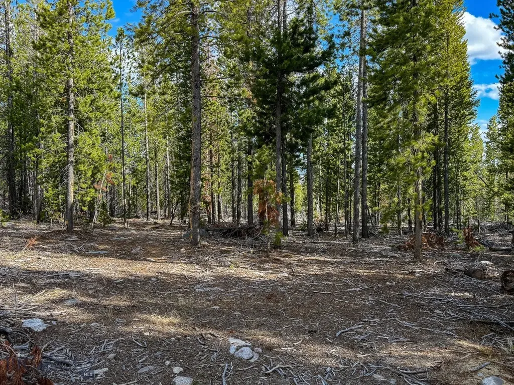 Tbd Silver Creek Trail Anaconda MT 59711