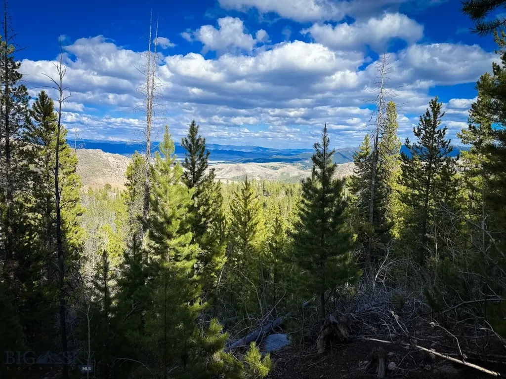 Tbd Silver Creek Trail Anaconda MT 59711