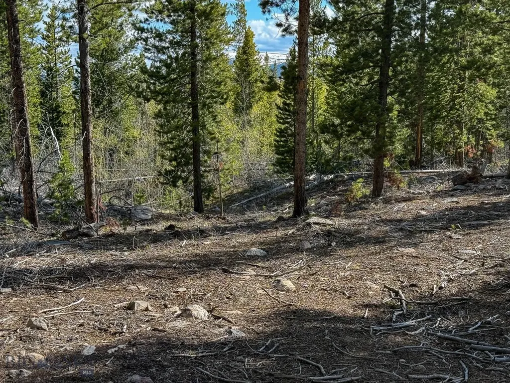 Tbd Silver Creek Trail Anaconda MT 59711