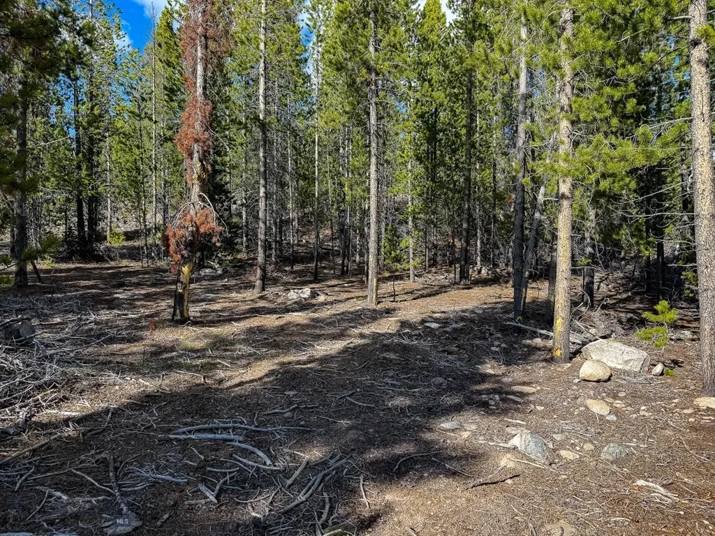 Tbd Silver Creek Trail Anaconda MT 59711