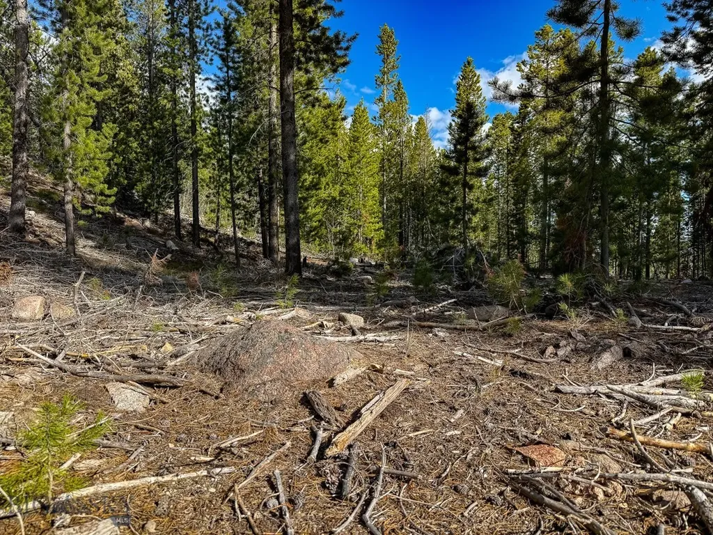 Tbd Silver Creek Trail Anaconda MT 59711