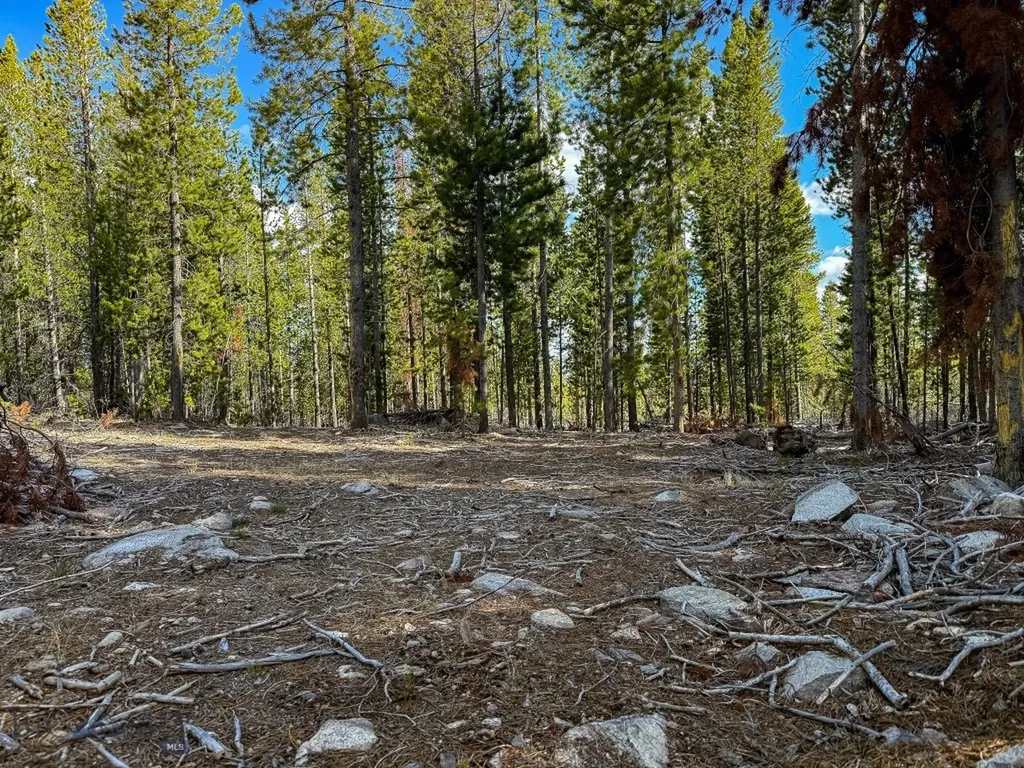 Tbd Silver Creek Trail Anaconda MT 59711