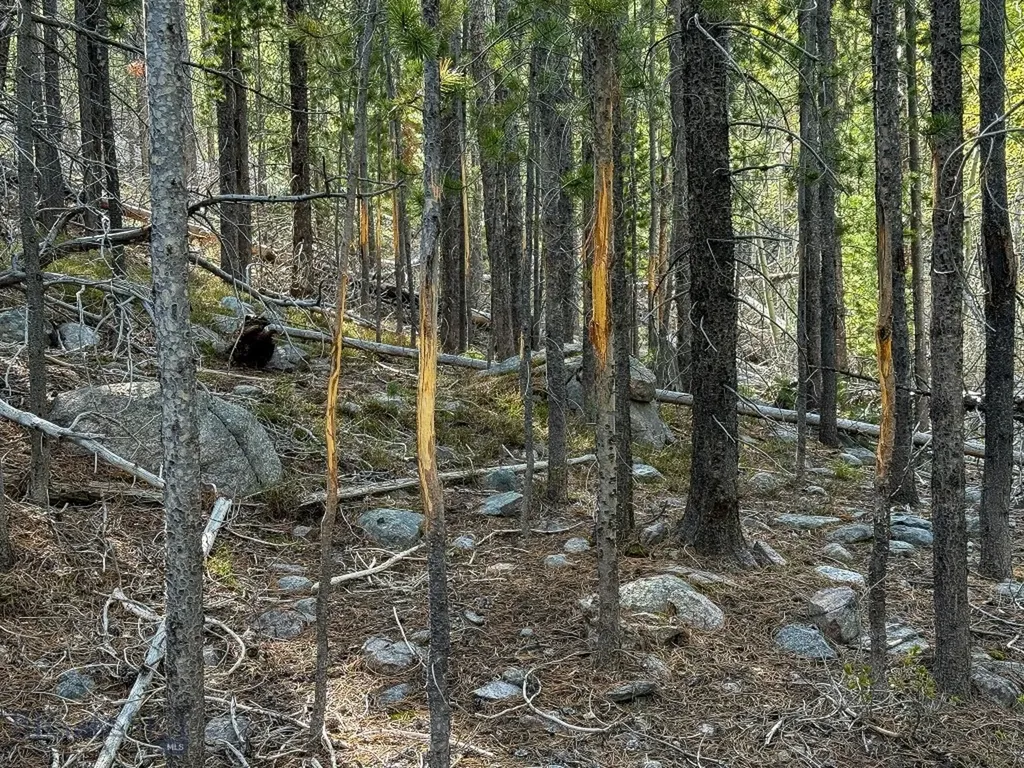 Tbd Silver Creek Trail Anaconda MT 59711