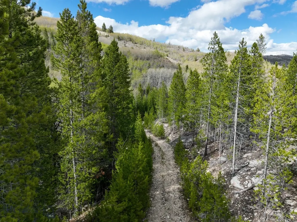 Tbd Silver Creek Trail Anaconda MT 59711