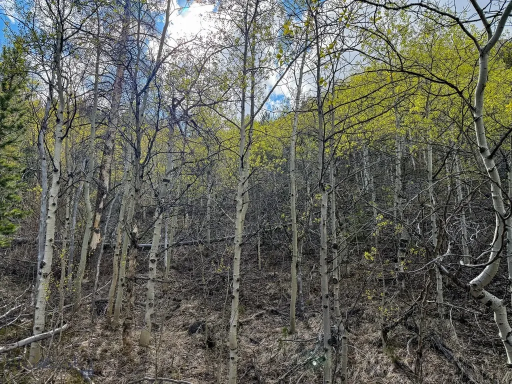 Tbd Silver Creek Trail Anaconda MT 59711