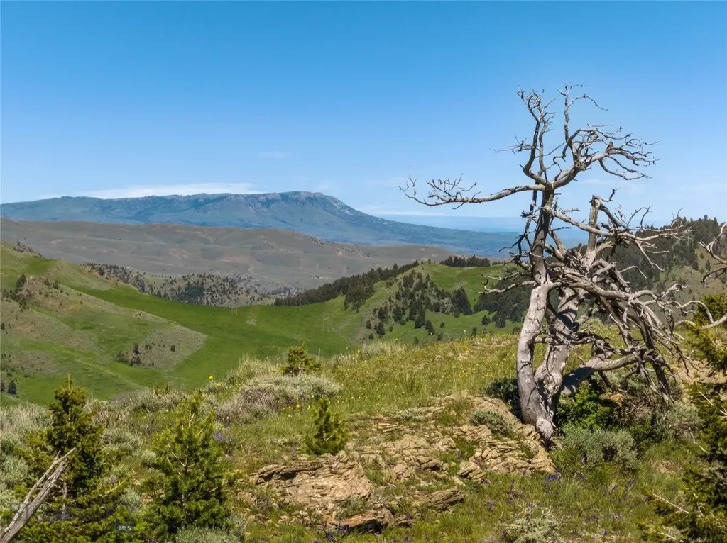125 Rocky Mountain Meadows Bozeman MT 59715
