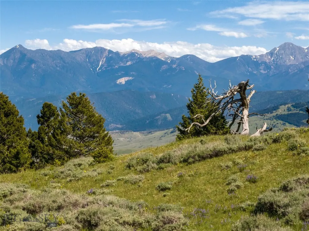 125 Rocky Mountain Meadows Bozeman MT 59715