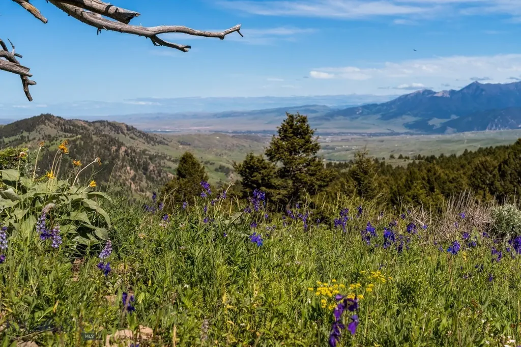 125 Rocky Mountain Meadows Bozeman MT 59715