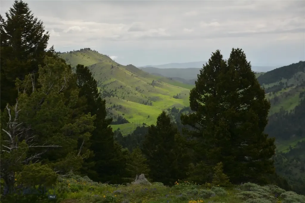 125 Rocky Mountain Meadows Bozeman MT 59715