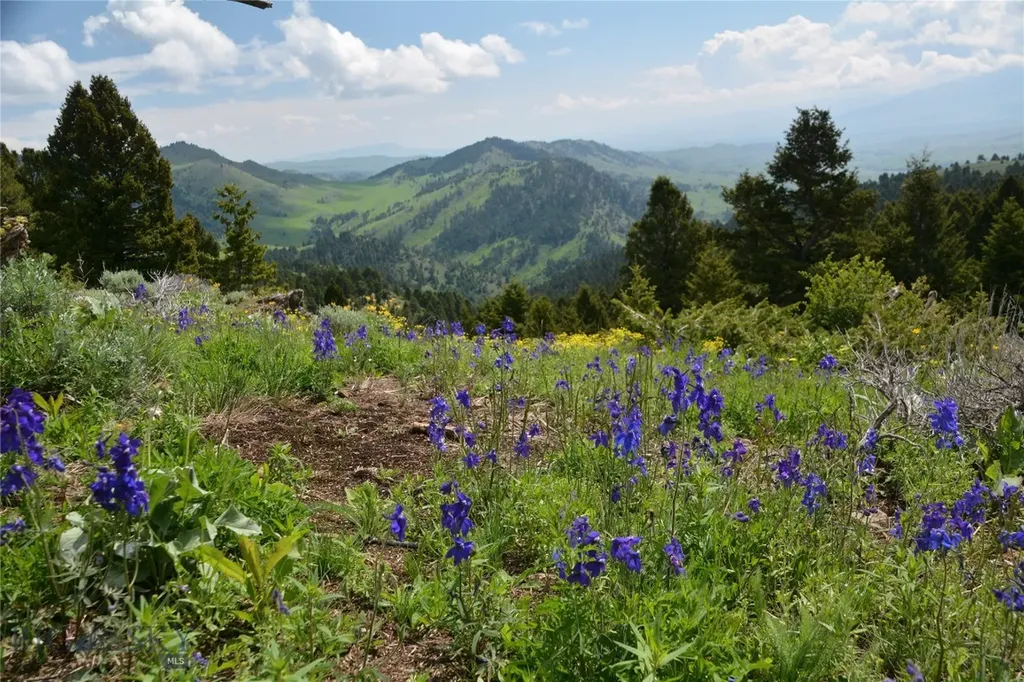 125 Rocky Mountain Meadows Bozeman MT 59715