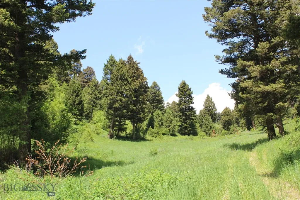 14815 Pony Creek Bozeman MT 59715