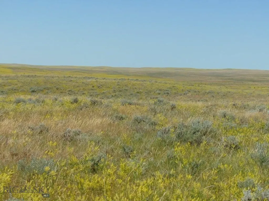 Tbd Wilder Trail Lewistown MT 59457